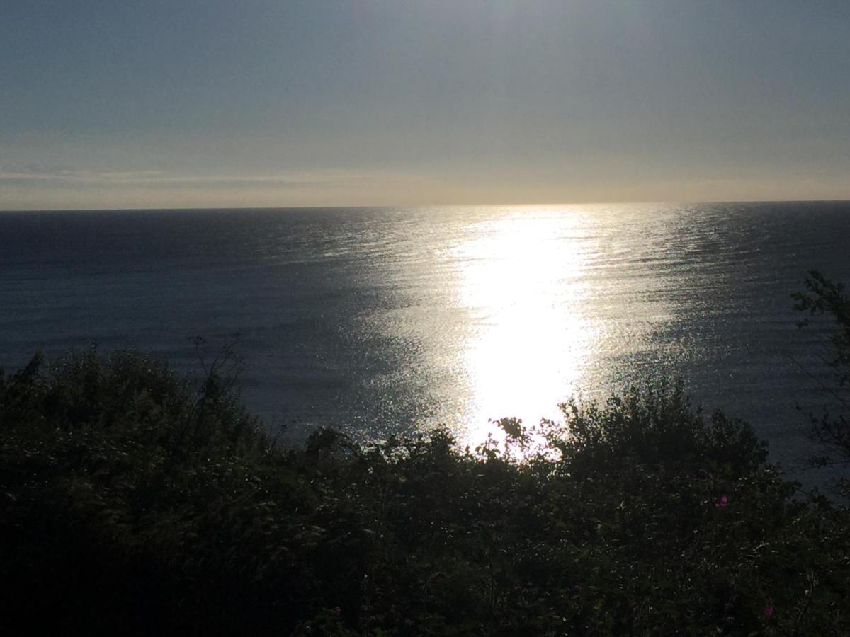 Fernleigh Bed & Breakfast Robin Hood's Bay Eksteriør bilde
